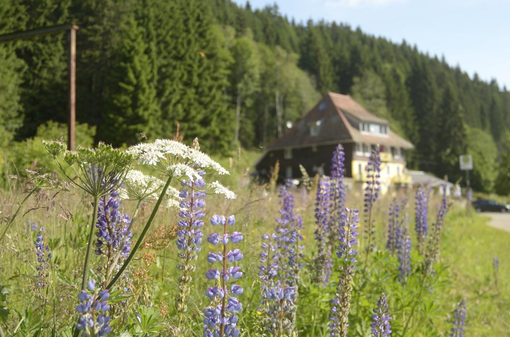 Gasthaus Hotel Loeffelschmiede Feldberg  Buitenkant foto
