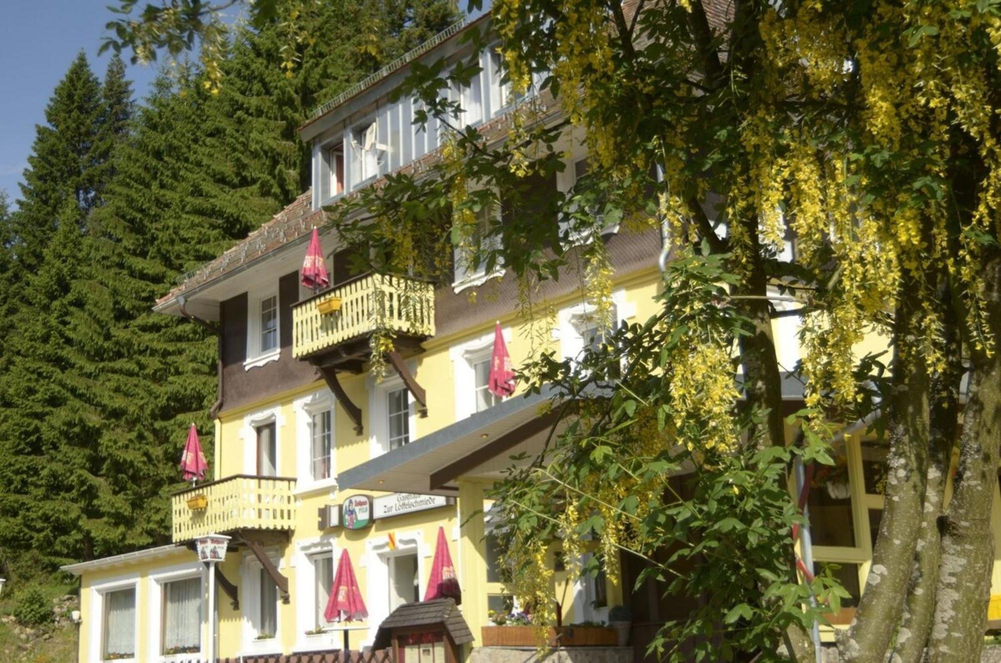 Gasthaus Hotel Loeffelschmiede Feldberg  Buitenkant foto